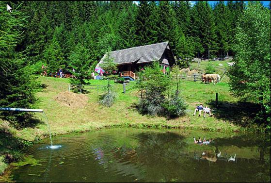 Отель Panoramadorf Saualpe Эберштайн Экстерьер фото